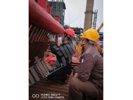 防城港廣西盛隆冶金有限公司產(chǎn)業(yè)升級(jí)技術(shù)改造項(xiàng)目公輔單元5#煤氣發(fā)電站項(xiàng)目，光譜分析